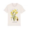 Daffodils - Organic Unisex T-Shirt V