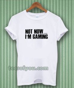 Not Now I'm Gaming I Can't t-shirt TPKJ3