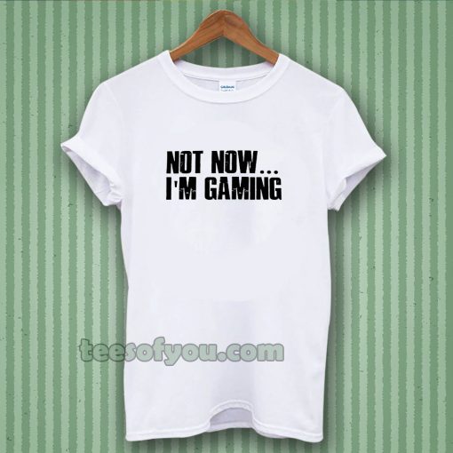 Not Now I'm Gaming I Can't t-shirt TPKJ3